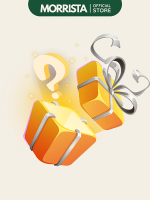 WP-Mystery Gift Mystery Gift of the Month